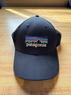 Patagonia P-6 Logo LoPro Trucker Hat